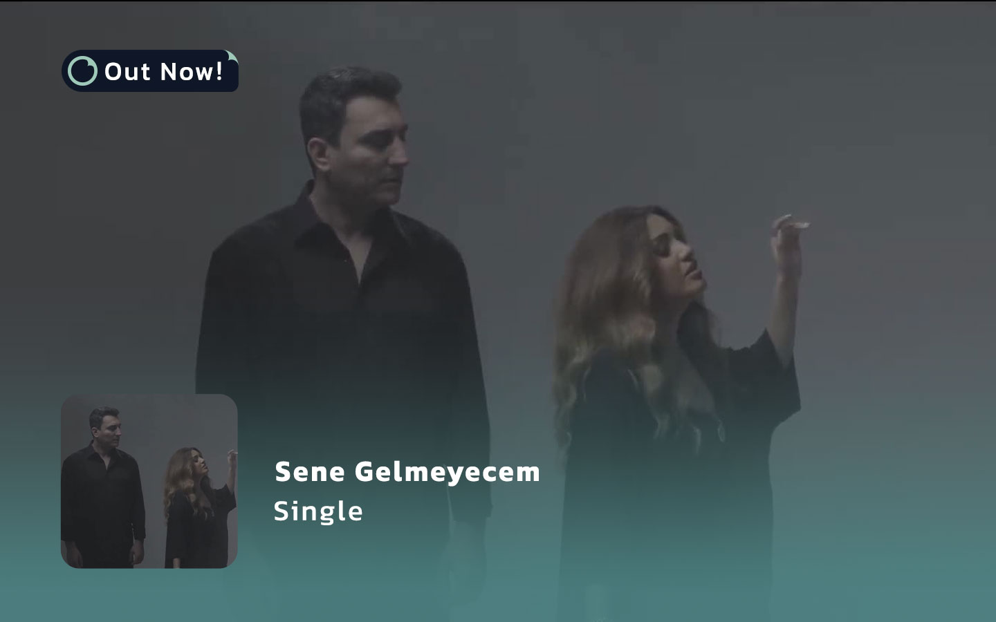 Sene Gelmeyecem