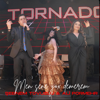 Men Sene Yox Demerem - Shebnem Tovuzlu cover