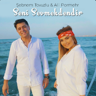 Seni Sevmekdendir - Shebnem Tovuzlu cover