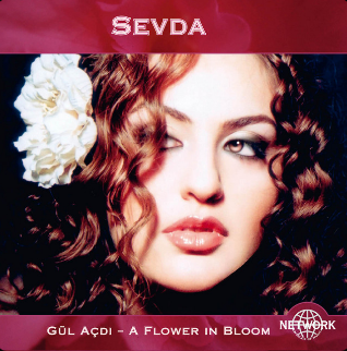Alvida - Sevda Alekberzade cover