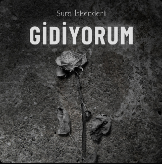  Gidiyorum 