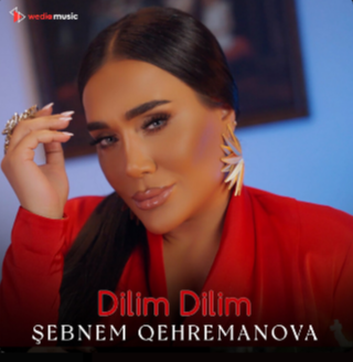 Dilim Dilim