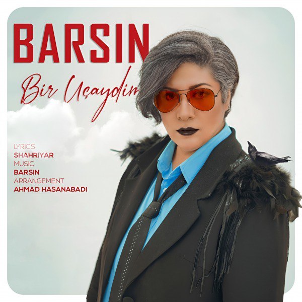  Bir Uchaydim - Barsin cover