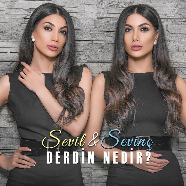 Derdin Nedir - Sevil Sevinc cover