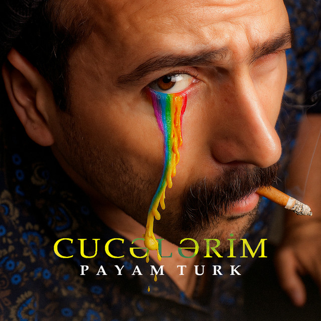 CUCELERİM - Payam Turk cover