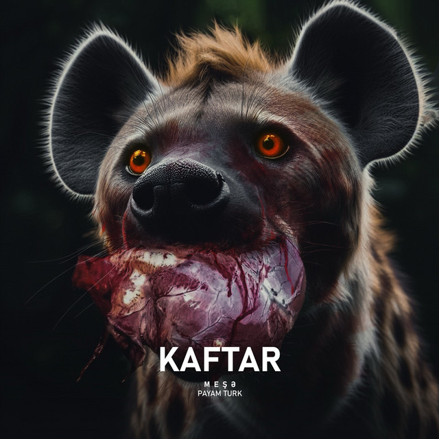 KAFTAR  - Payam Turk cover