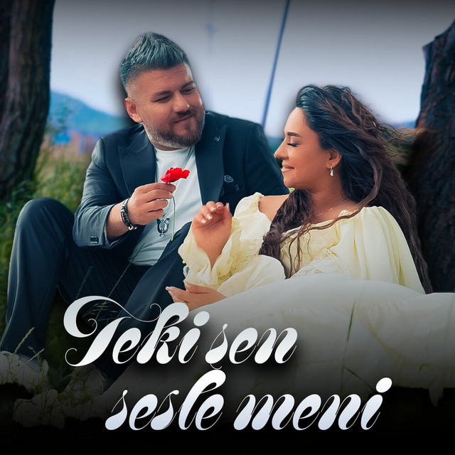 Sen Sesle Meni