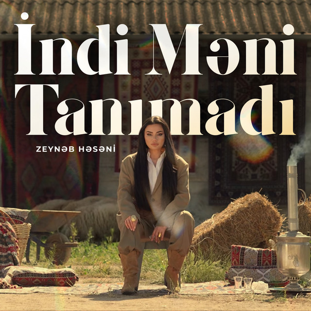 Indi Meni Tanimadi - Zeyneb Heseni cover