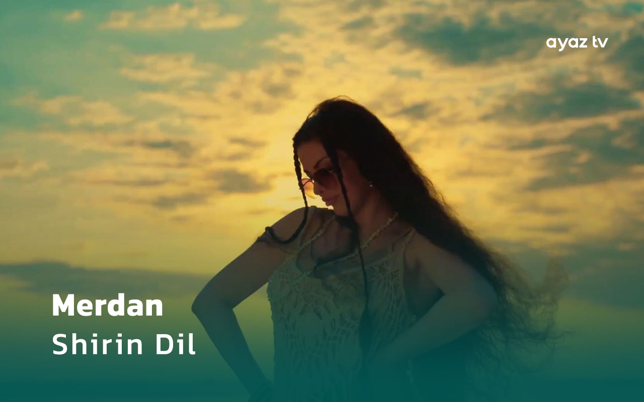 Shirin Dil cover