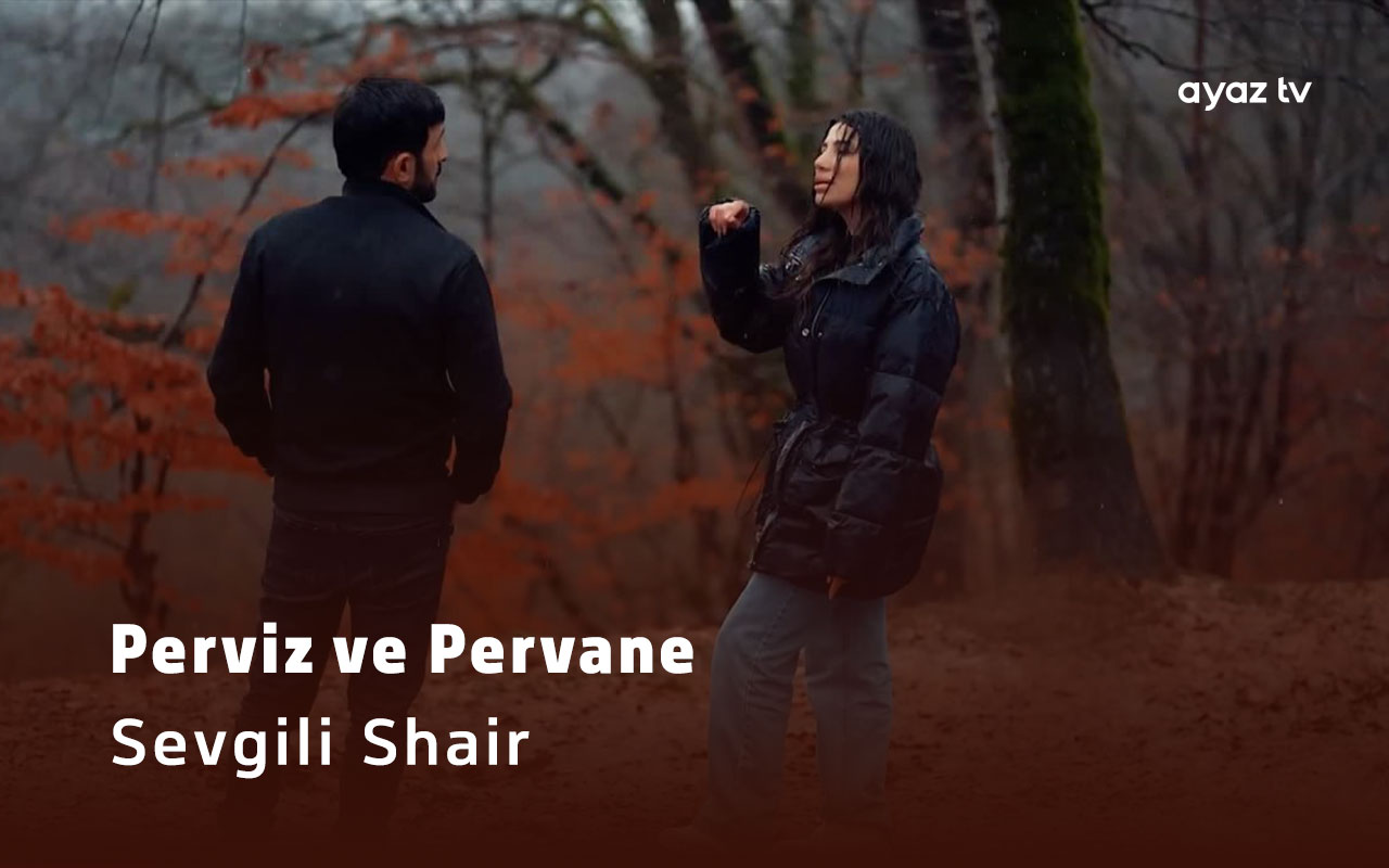 Sevgili Shair  - Perviz Bulbule