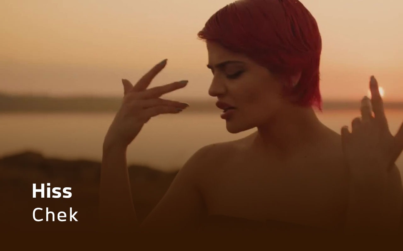 Chek - Hiss