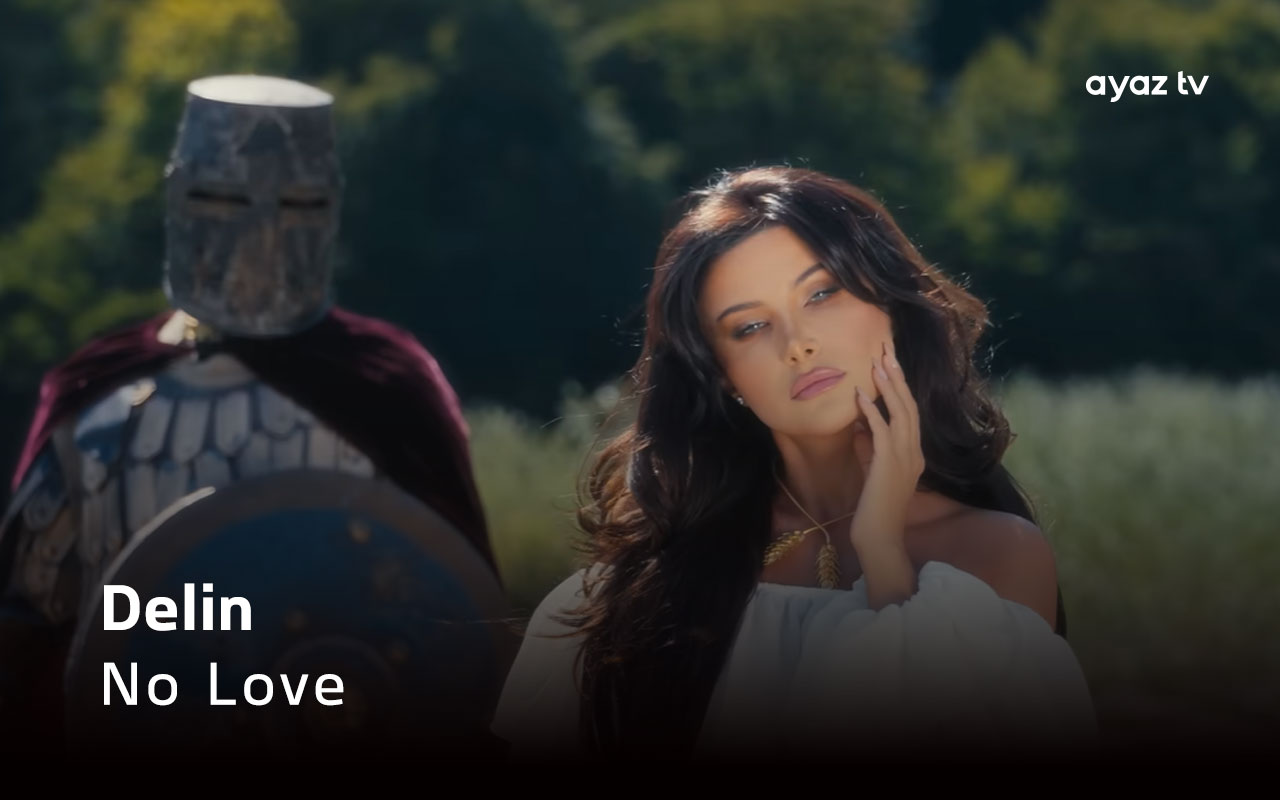 No Love - Delin Pasha