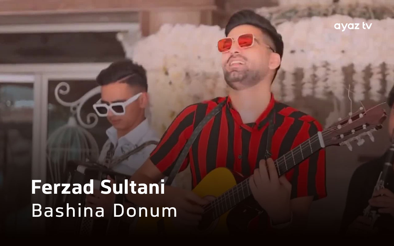 Bashina Donum cover