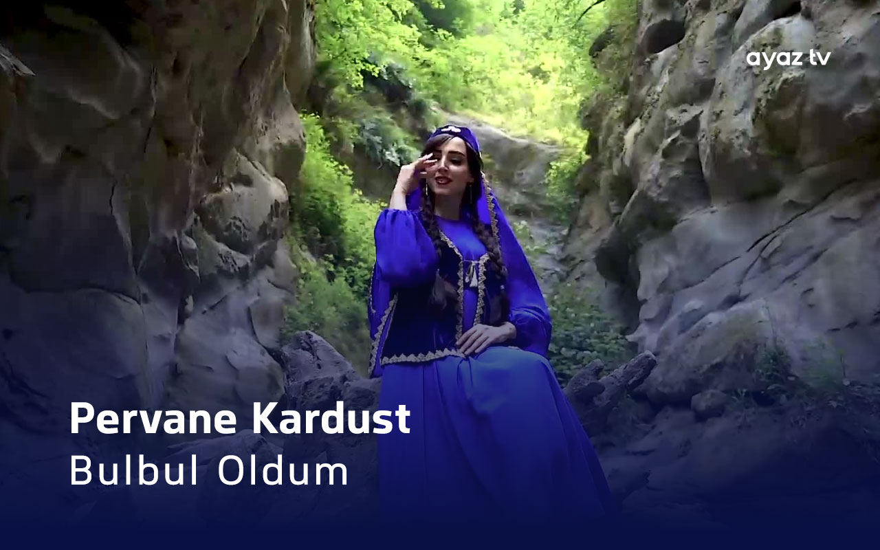 Bulbul Oldum cover