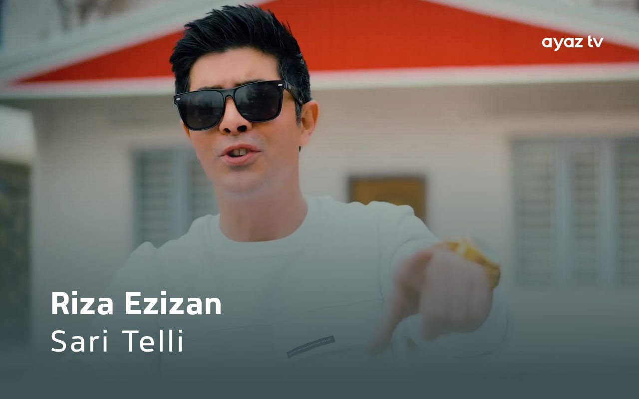 Sari Telli cover
