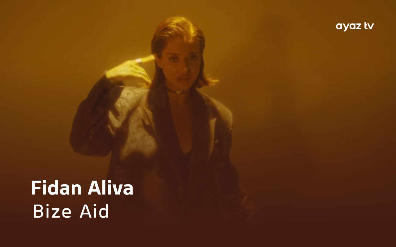 Bize Aid cover