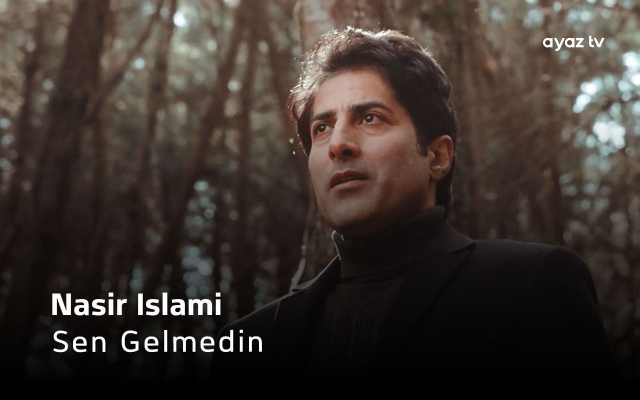 Sen Gelmedin cover