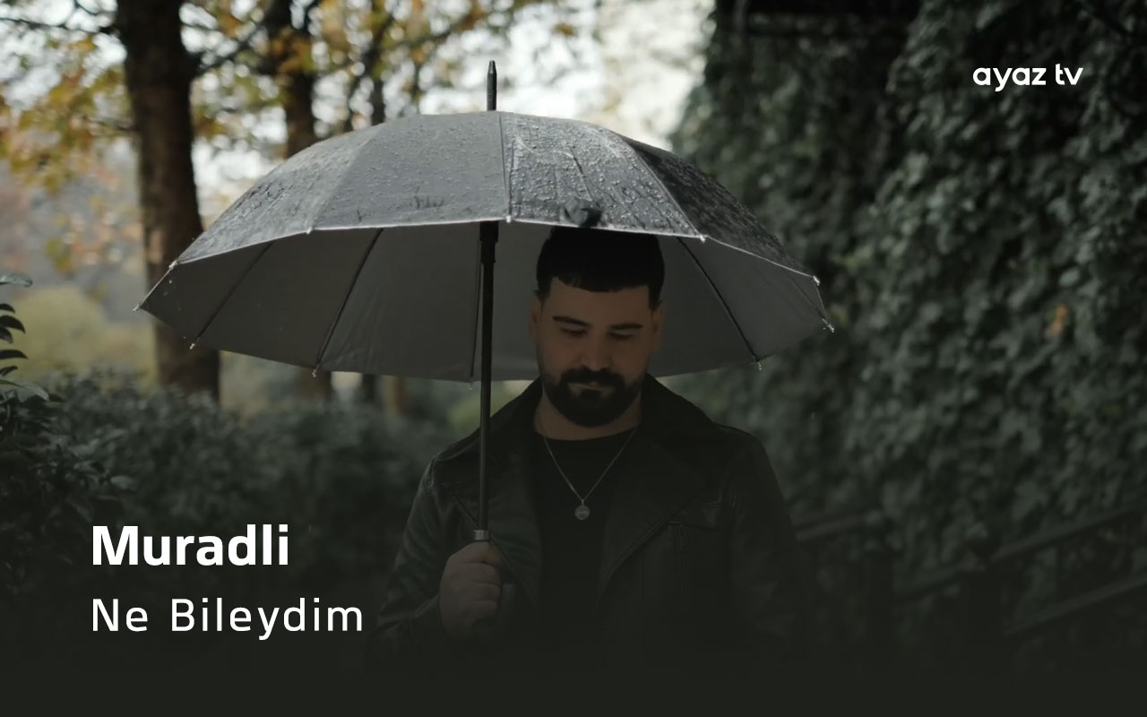 Ne Bileydim cover